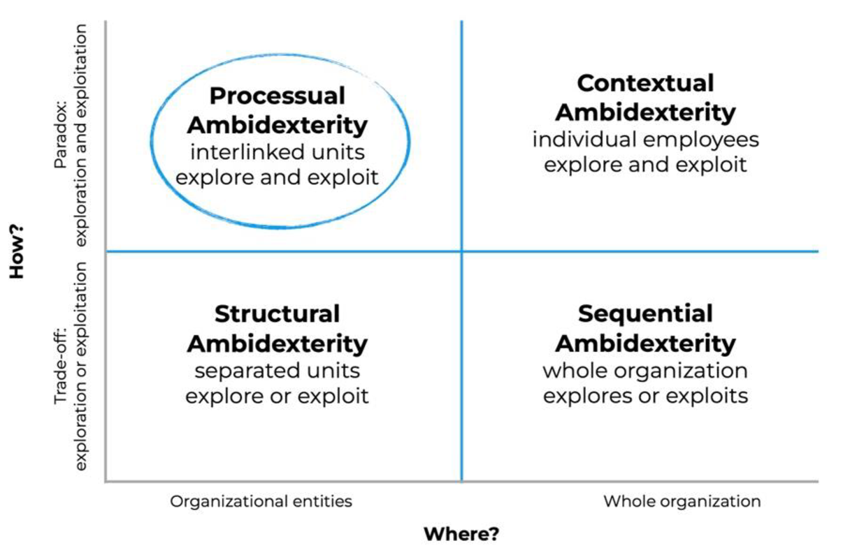 Organisational setups for ambidexterity