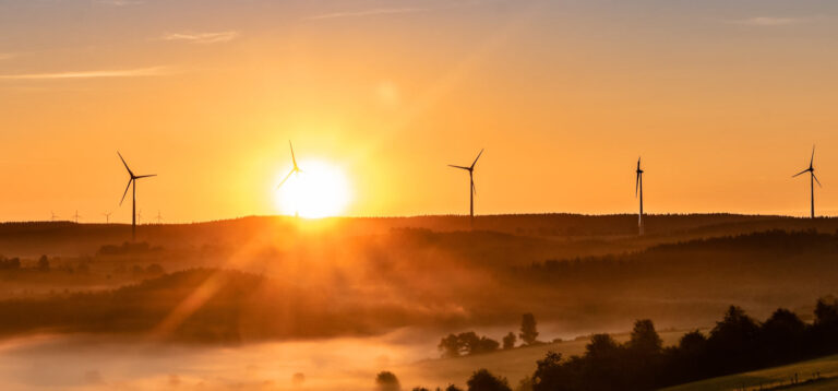 Innovation for a Sustainable Future