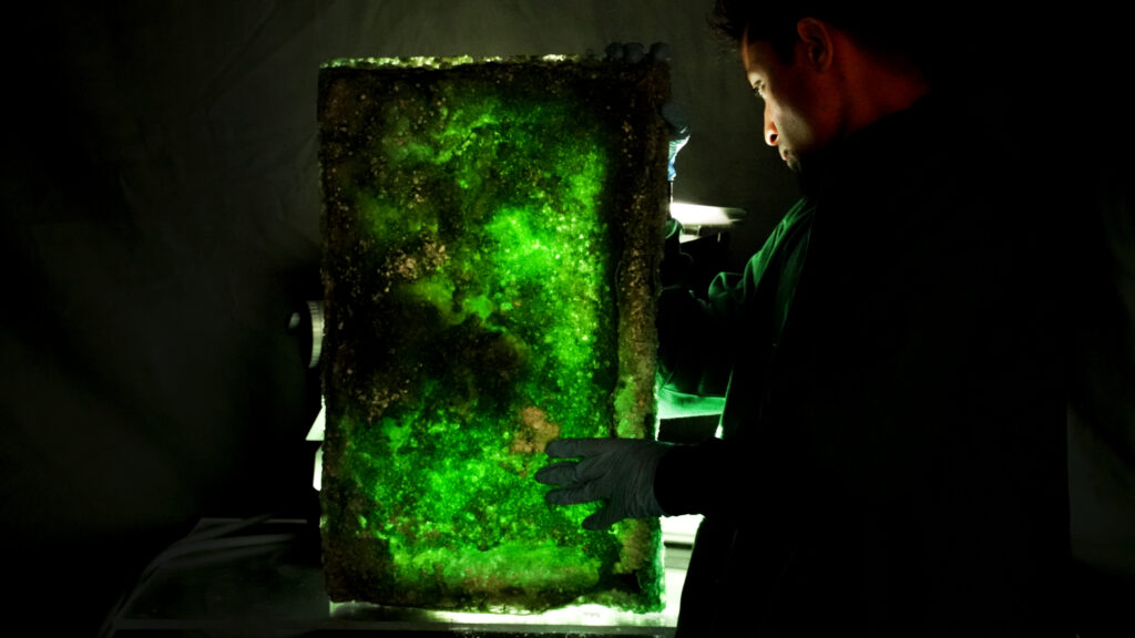 Prantar Tamuli co-founder of Tattva with its novel biomaterial Somate developed by photosynthesising cyanobacteria