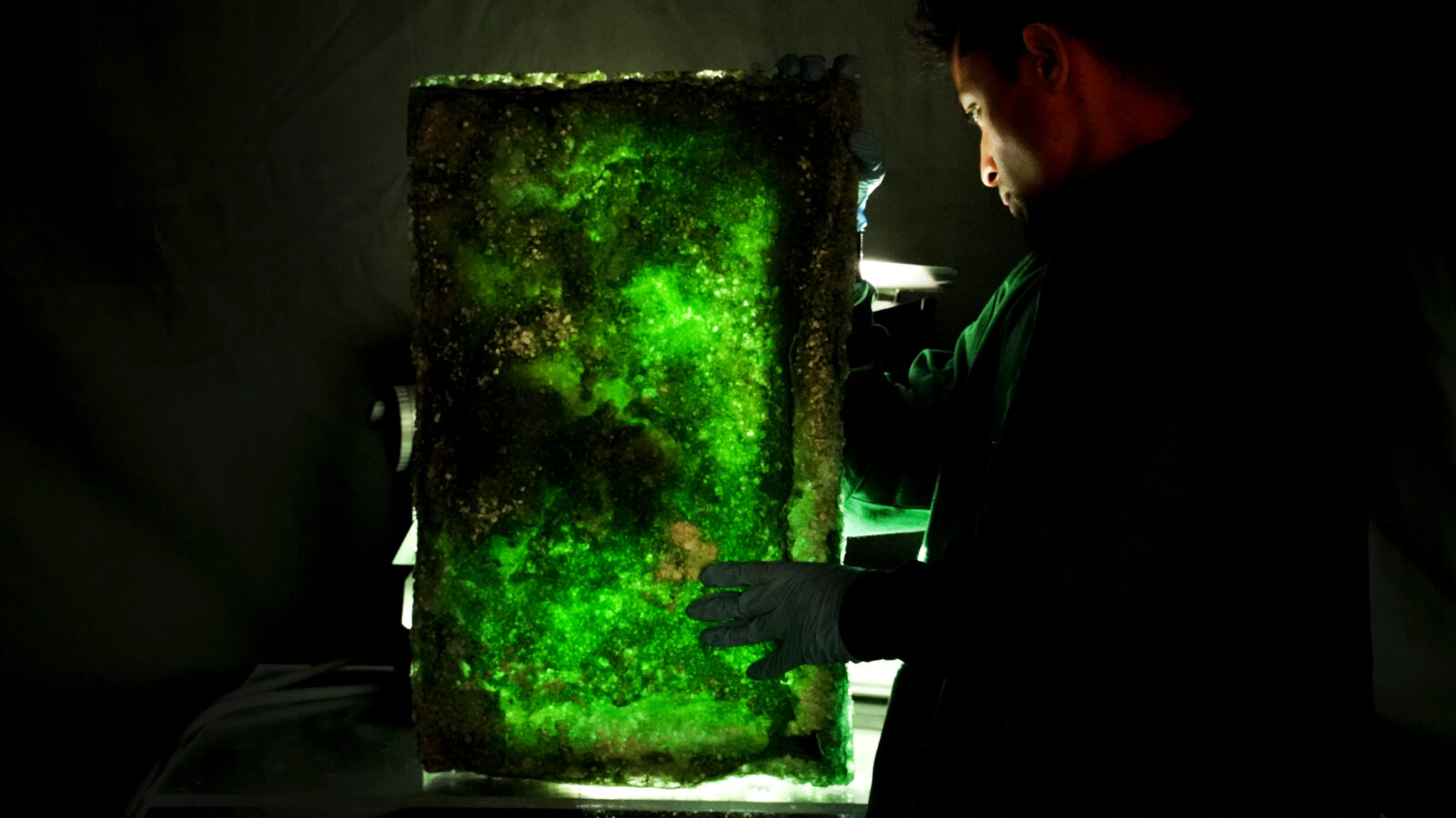 Prantar Tamuli co-founder of Tattva Prantar Tamuli co-founder of Tattva with its novel biomaterial Somate developed by photosynthesising cyanobacteria