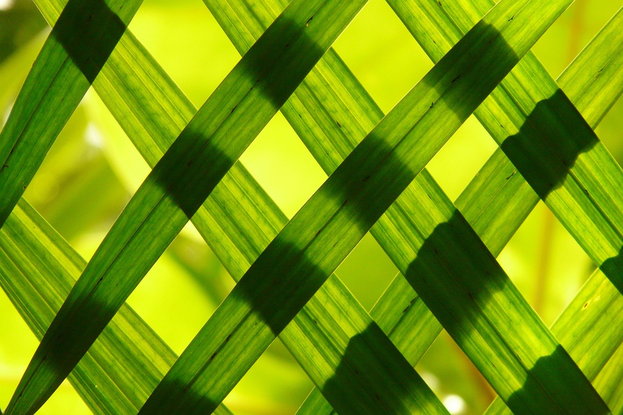 leaves-108969_1280 technology foresight