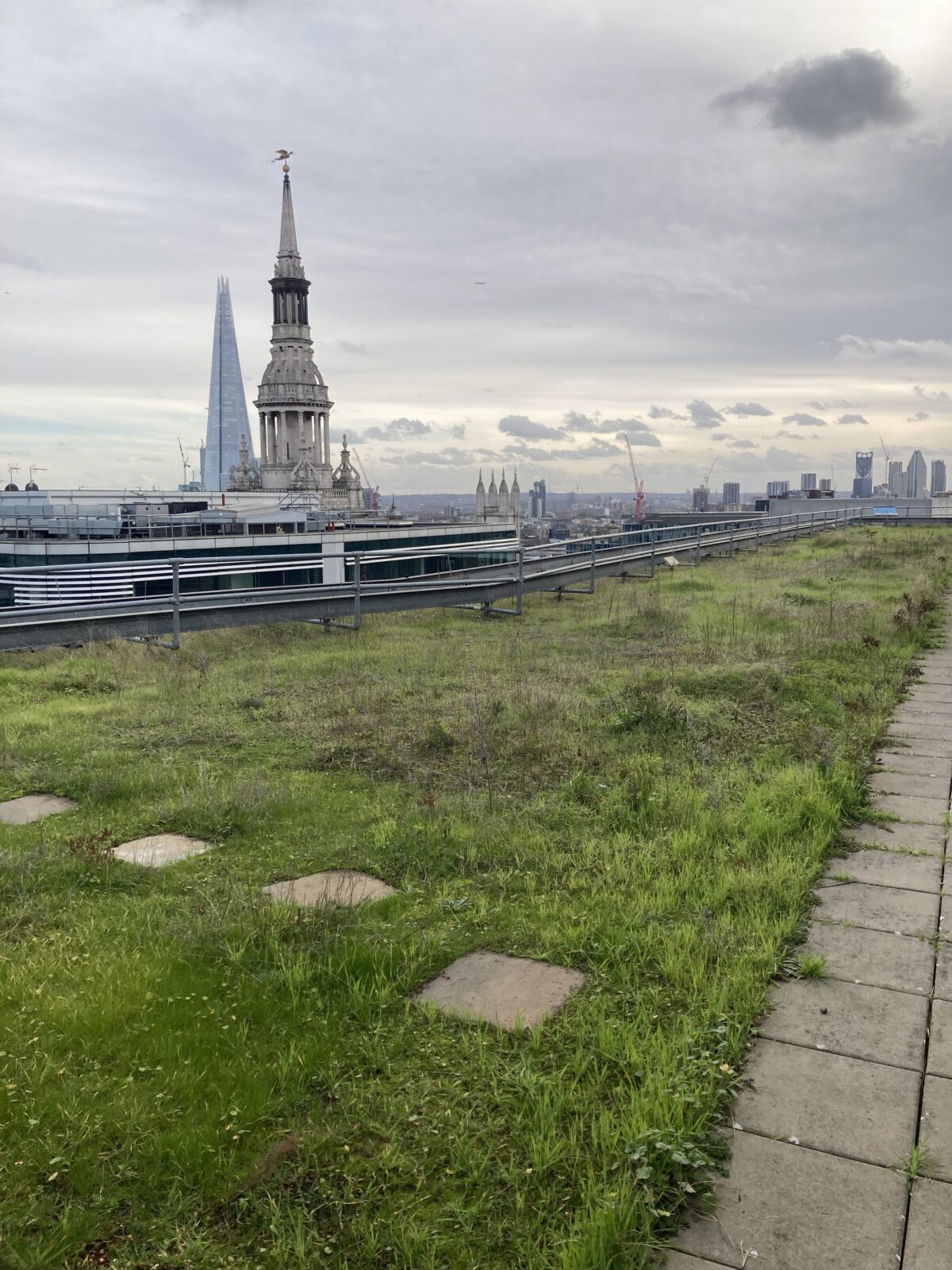 Green roof Green roof in London