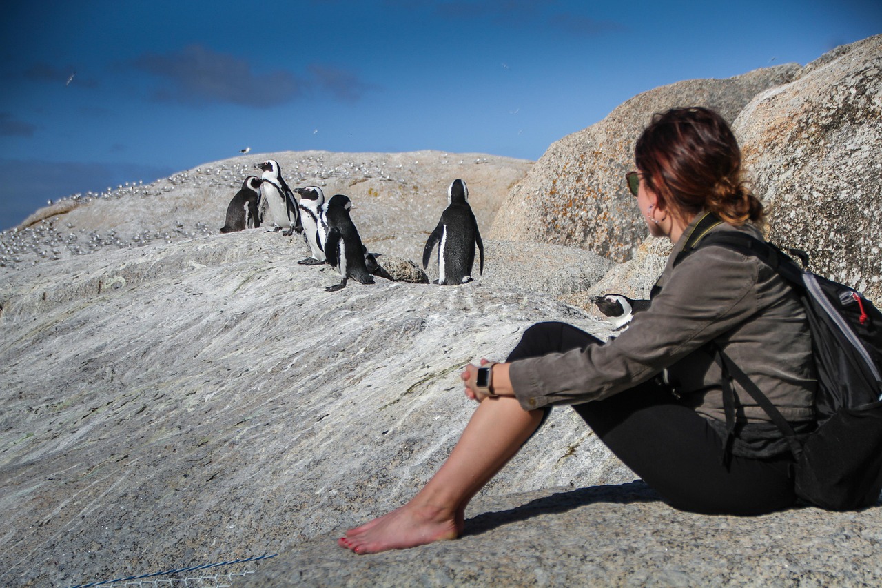 penguins-4668754_1280 biodiversity
