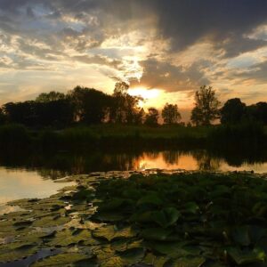 Norfolk CleanTech East is based in Norfolk
