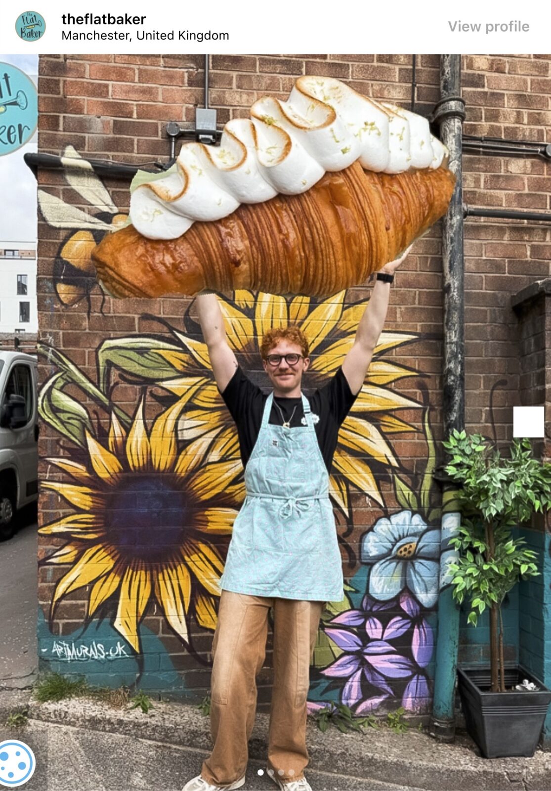 Flat baker