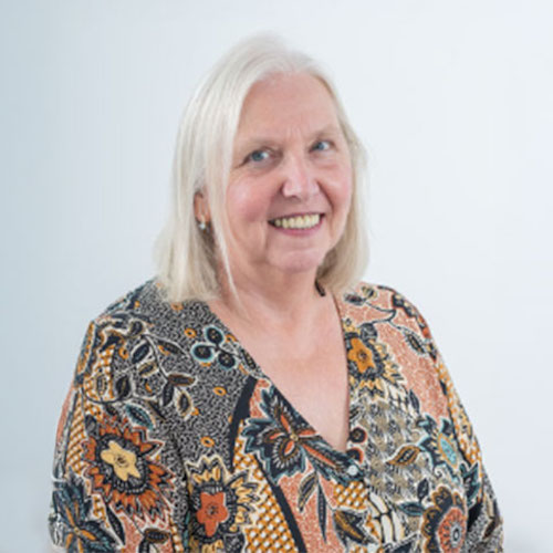 Dr Ann Mulhaney, Feat Centre for Sustainable Innovation Dr Ann Mulhaney, Centre for Sustainable Innovation decarbonization in automotive manufacturing